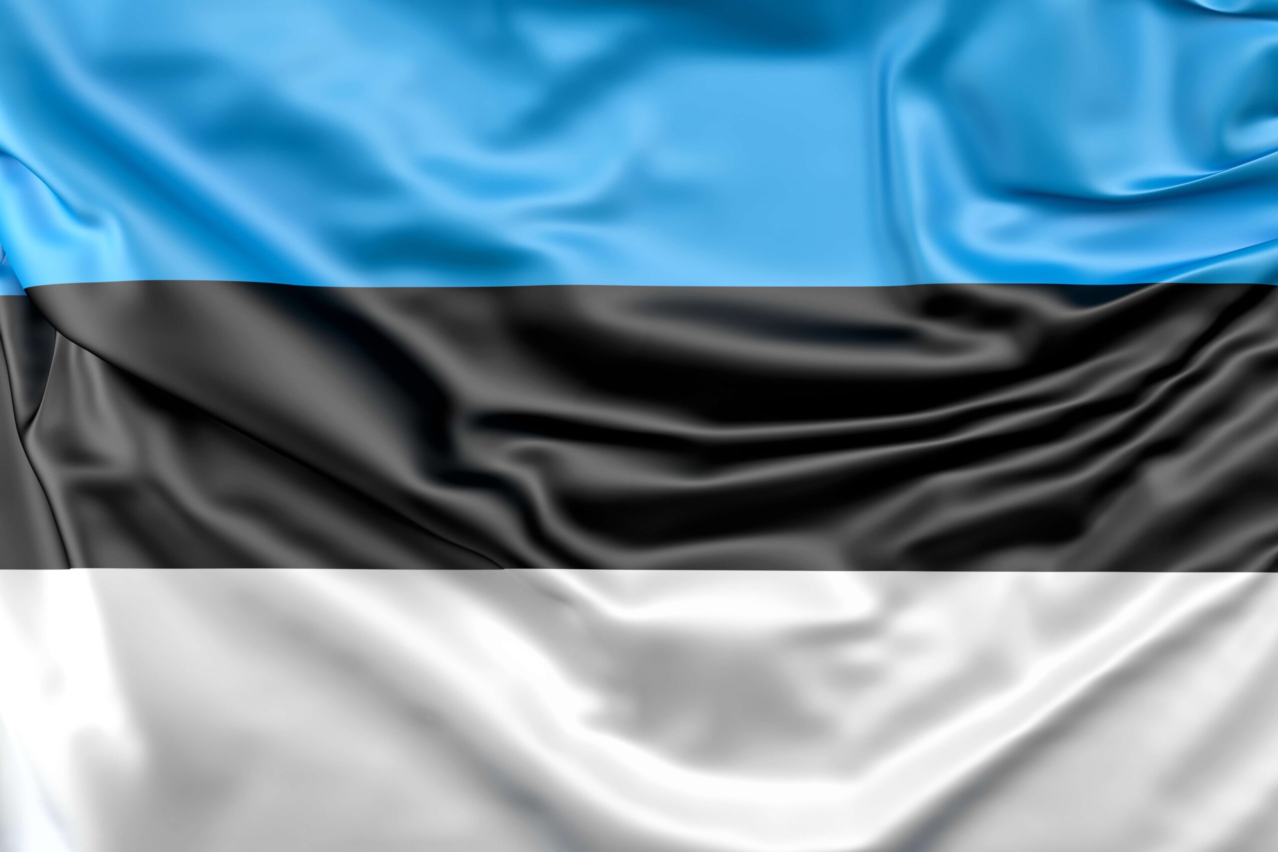 estonia flag